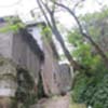 大关村山地露天蔬菜基地